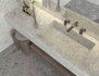 Керамогранит Terrazzo Grey Natural 120х270 TechGres Stone 2.0 матовый универсальная плитка