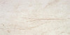 Керамогранит Rain Forest White Pulido 59x119 Rect. Keratile полированный универсальный CAS1RAIFCPHA