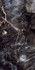 Керамогранит GR201 Toledo Black Primavera 60x120 супер полированный (high glossy) универсальный
