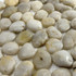 Мозаика Marble Mosaic Pebbles White Stone Pol галька 30х30 см глянцевая, белый