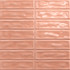 Настенная плитка Sticks Coral 20x20 Absolut Keramika глянцевая керамическая