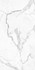 Керамогранит Eco Marble 6291 Polished 60x120 Alpas Euro полированный универсальная плитка n164624