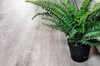 SPC ламинат Alpine Floor ECO 134-55 MC Ясень Серый 34 класс 1220х184х3.5 мм (каменно-полимерный)