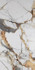 Керамогранит Vega Gold Polished Rec. 60x120 Etili Seramik полированный универсальный ETI80554