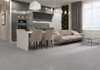 Керамогранит NG107 Тайкан Светло-серый Glossy 60x60 Primavera глянцевый универсальная плитка 00000253985