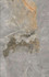 Керамогранит Ardesia Grey 2 см 60х90 Rino Seramik Ardesia матовый напольный n157521