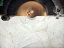 Керамогранит SC.AL.PNZ.GL 2780х1200х6.5 Arch Skin Stone Calacatta полированный универсальный