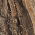 Керамогранит GR104 Richter brown Primavera 60x60 супер полированный (high glossy) универсальный