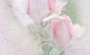 Декор Розовый Свет-2 25х40 Belleza глянцевый керамический 04-01-1-09-03-41-357-0
