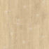 Кварцвиниловая плитка Alpine Floor ЕСО 5-32 Дуб камфора 34 класс 1219х184х2 мм (ламинат)