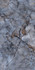 Керамогранит Calcolo Dark Blue Ceramicoin 60х120 глянцевый универсальный P 2135