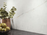 Керамогранит Quartz Natural 60x120 Baldocer матовый универсальный УТ000033749