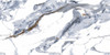 Керамогранит White_G126016G 60х120 Zibo Fusure Gold Ink полированный универсальный СП1186