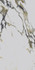 Керамогранит CR201 Fantasy Mix Primavera 60x120 carving универсальный