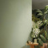 Настенная плитка True Color Matcha Matt 50x120 Fap Ceramiche матовая керамическая fTDV