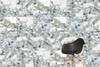 Керамогранит K951839LPR01VTET CityMarble Амазония Мультиколор R9 60x60 Vitra лаппатированный (полуполированный) универсальная плитка