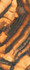 Керамогранит INF3423-3 Tiger All-light Polished Ret 120x278 Fondovalle Infinito 2.0 полированный универсальная плитка