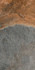 Керамогранит SG221100R Таурано Коричневый обрезной 30х60 Kerama Marazzi матовый напольная плитка