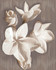 Панно Amati Plumeria Alba (2 шт) - Azori 40.2х50.5 матовое керамическое
