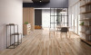 Керамогранит Barkwood White 20x120 Sant'Agostino матовый напольный CSABA7WH20