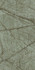 Керамогранит Wattle Green Drab 60x120 Infinity Ceramica carving универсальная плитка