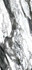 Керамогранит Painting White 120x280 Polished (6 мм) Zodiac Ceramica полированный универсальная плитка MN066AP281206