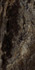 Керамогранит MMAK Allmarble Frappucino Lux 60х120