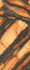 Керамогранит INF3423-5 Tiger All-light Polished Ret 120x278 Fondovalle Infinito 2.0 полированный универсальная плитка
