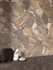 Керамогранит Blend Grey Nat 60x120 Bottega антискользящий (grip), матовый универсальная плитка B71414