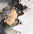 Керамогранит Golden Sky High Glossy 60x60 Concor полированный универсальная плитка УТ-00038812