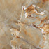 Керамогранит Agyaro Verde HG Sugar 60x60 ITC лаппатированный (полуполированный), рельефный (рустикальный) универсальный