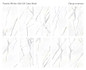 Керамогранит Panda White 60x120х5 Matt Staro матовый универсальный С0005002
