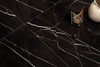 Керамогранит Conical Black 60x60 High Gloss Staro Oasis полированный универсальная плитка С0003693