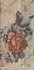 Декор Inserto Vintage Roses South Side (комп/2шт) керамогранит