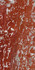 Керамогранит Rosso Francia Lucido (12900203) 118x236 Casalgrande Padana Marmoker полированный универсальная плитка