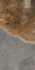 Керамогранит SG221120R Таурано Серый обрезной 30x60x0,9 Kerama Marazzi матовый напольная плитка