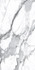 Керамогранит Visage Grey Plus Pol. 60x120 Alpas Euro Premium Marble полированный напольный n141070