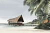 Панно PWU11ALD3 из 2 плиток Ailand 40x60 керамическое