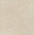 Керамогранит Avorio Naturale R10 60х60 Nexion Endless матовый универсальная плитка F60ENEB1NR0