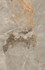 Керамогранит Ardesia Beige 2 см 60х90 Rino Seramik матовый напольный n157523