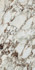 Керамогранит Bijoux Breche Capraia Matte 60x120 универсальный матовый