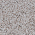 Керамогранит D_Lash Nordic Sand 60х60 Gambini матовый напольный 00000039298