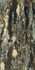 Керамогранит Bijoux Quatre Saisons Glo 6 mm 120x240 R (765728) REX Ceramiche полированный универсальный