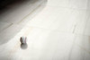 Керамогранит Allmarble Onice Avorio Lux 60x120 Marazzi Italy полированный универсальная плитка MPAK