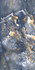 Керамогранит GR206 Gold Light Blue Primavera 60x120 супер полированный (high glossy) универсальный