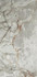 Керамогранит Gediz Green Polished Rec. 60x120 Etili Seramik полированный универсальный ETI80535