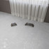 Керамогранит Arcstone Grey 60x120 Gl Arcadia Ceramica матовый универсальная плитка GI8012-A