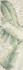 Настенная плитка fRCN Deco and More Tropical Jungle 30,5x91,5 RT Fap Ceramiche матовая керамическая УТ-00028037
