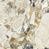 Керамогранит 120x120 Etoile De Rex Symphonie Glossy 120х120  6mm полированный