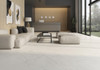 Керамогранит Marble Lincoln R 60x120 (2,16) Roca Ceramica carving настенная плитка 75619